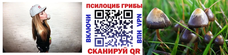 Галлюциногенные грибы GOLDEN TEACHER  Спасск-Дальний 